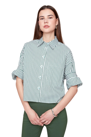 R5213-889 Stripe Top, Olive Combo