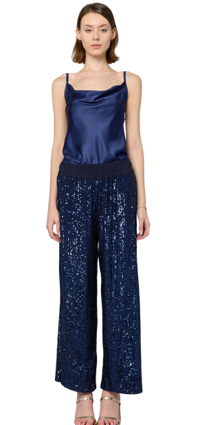 Evers Pant, Navy Sequins