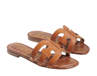 Bay, Saddle