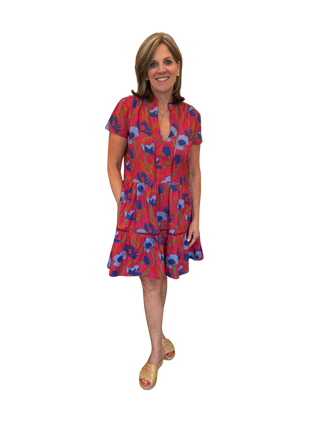Alison Short Sleeve Dress, Poppy Pink Blue Multi