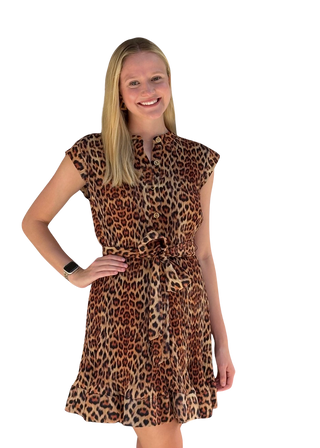 Joan Printed Leopard Pleated Dress, Multi