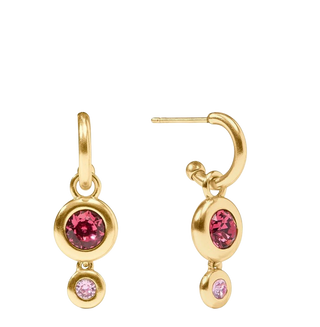 Rainbow Duo Hoop & Charm Earring