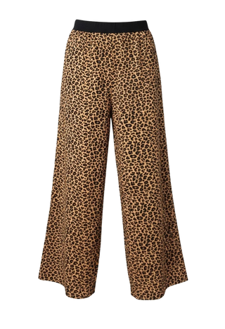 Elvie Terri Pant, Leopard