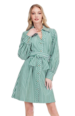 Stripe Collar Waist Pleated Shirtdress, Green