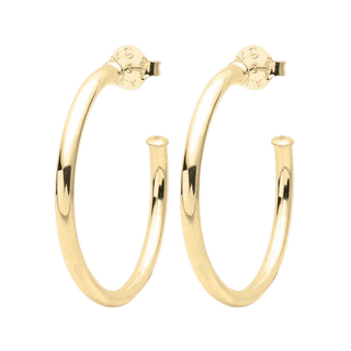 Small Everybody's Favorite Hoops